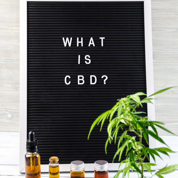 Back to School:  Learn Your CBD’s