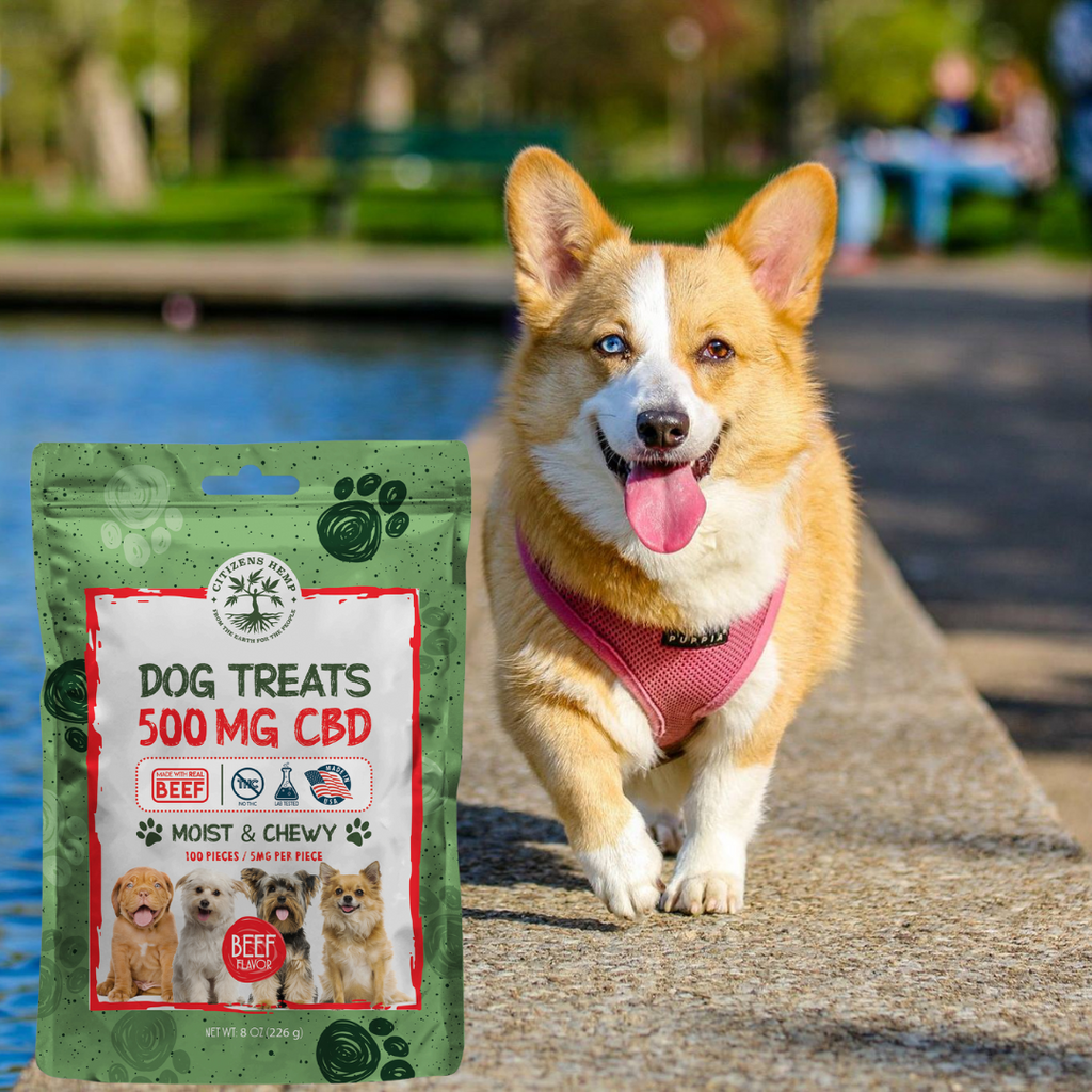 DOG TREATS BEEF 500MG CBD